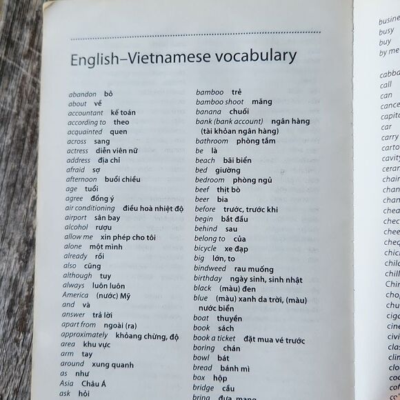 Teach Yourself Complete Vietnamese Book Dana Healy - Picture 5 of 8